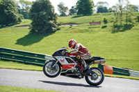 cadwell-no-limits-trackday;cadwell-park;cadwell-park-photographs;cadwell-trackday-photographs;enduro-digital-images;event-digital-images;eventdigitalimages;no-limits-trackdays;peter-wileman-photography;racing-digital-images;trackday-digital-images;trackday-photos